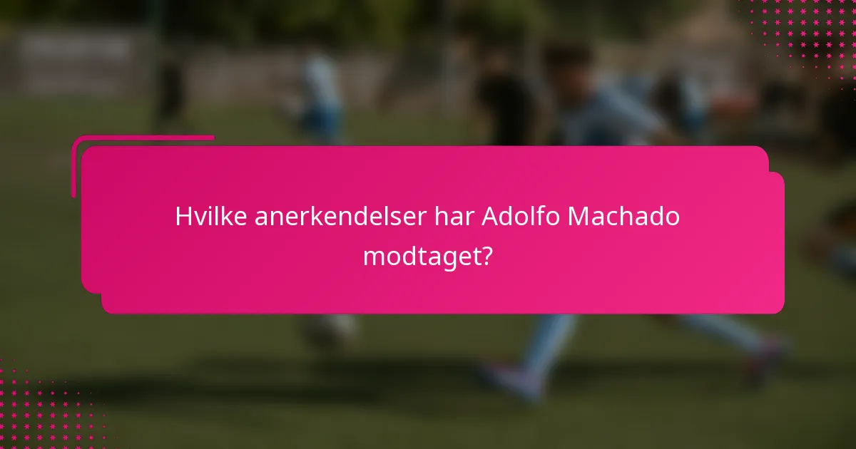 Hvilke anerkendelser har Adolfo Machado modtaget?