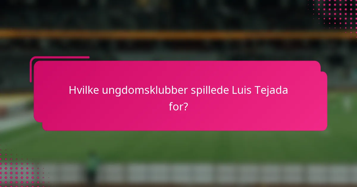 Hvilke ungdomsklubber spillede Luis Tejada for?